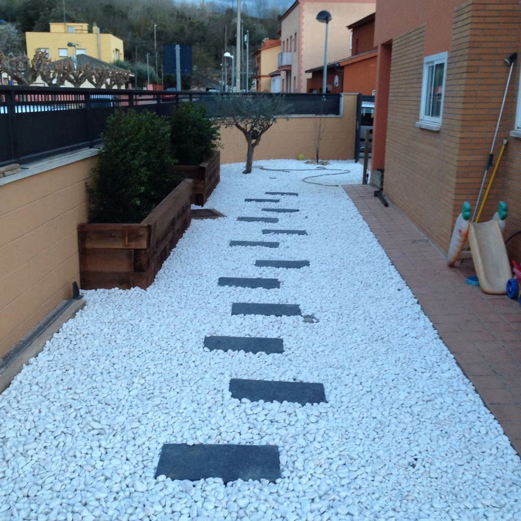 Diseño con camino de piedra y grava