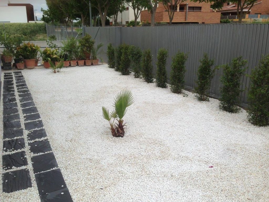 Jardín moderno con grava y palmera